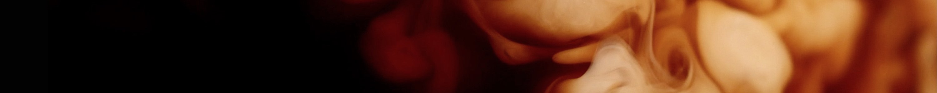 Výhodná balení banner