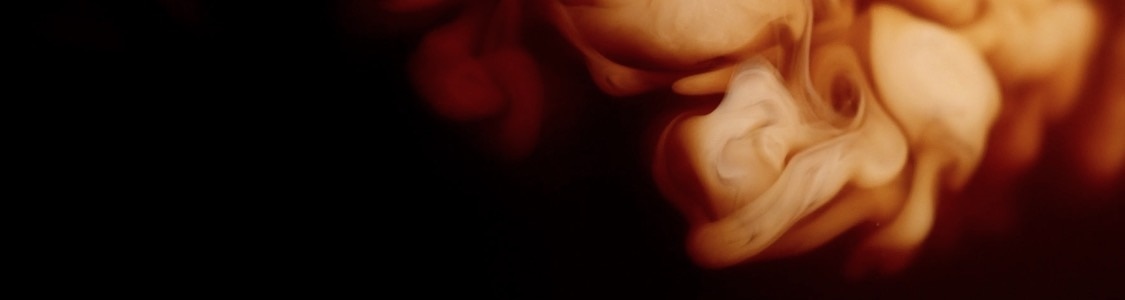 Výhodná balení banner