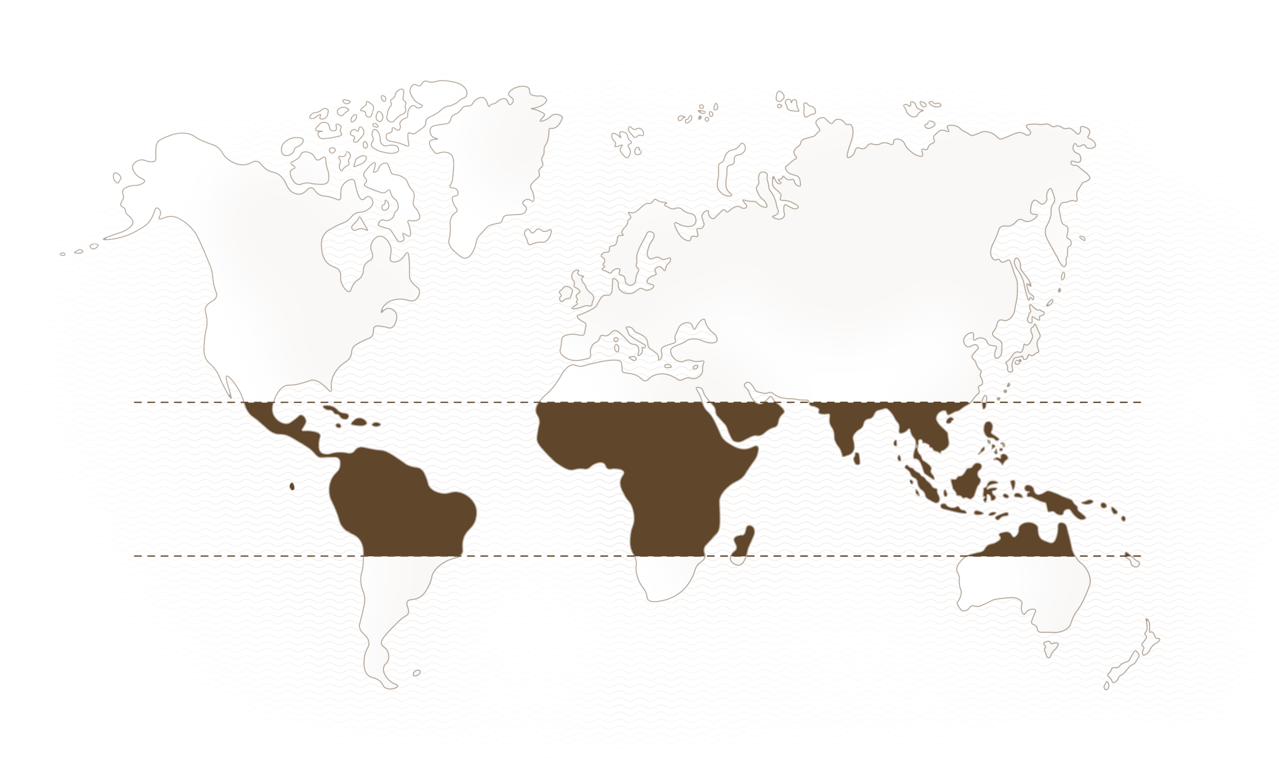 World map World map