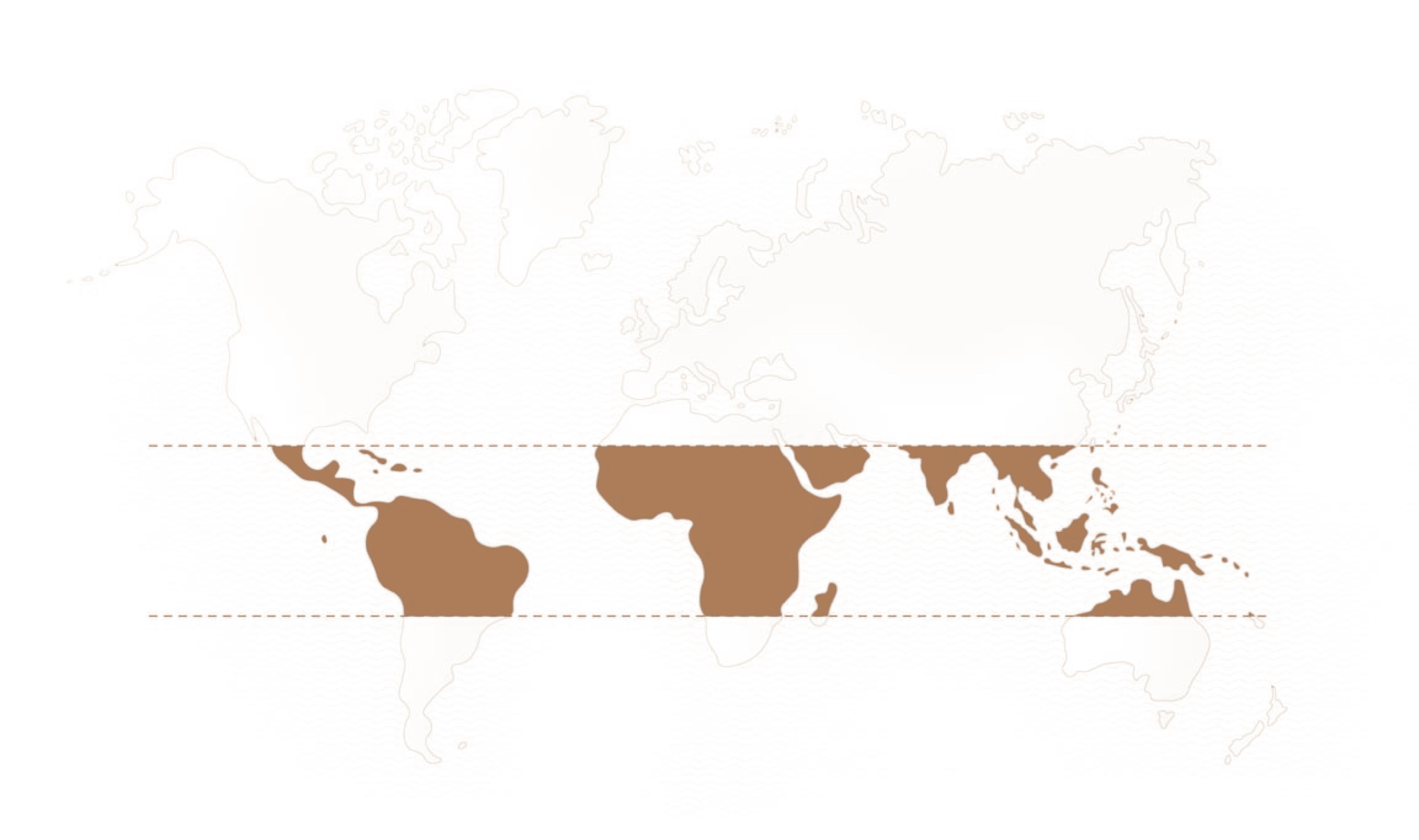 World map World map