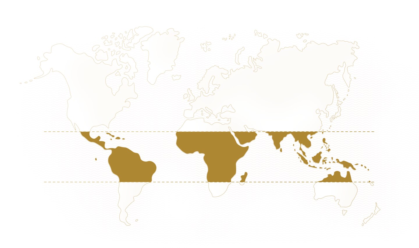 World map World map