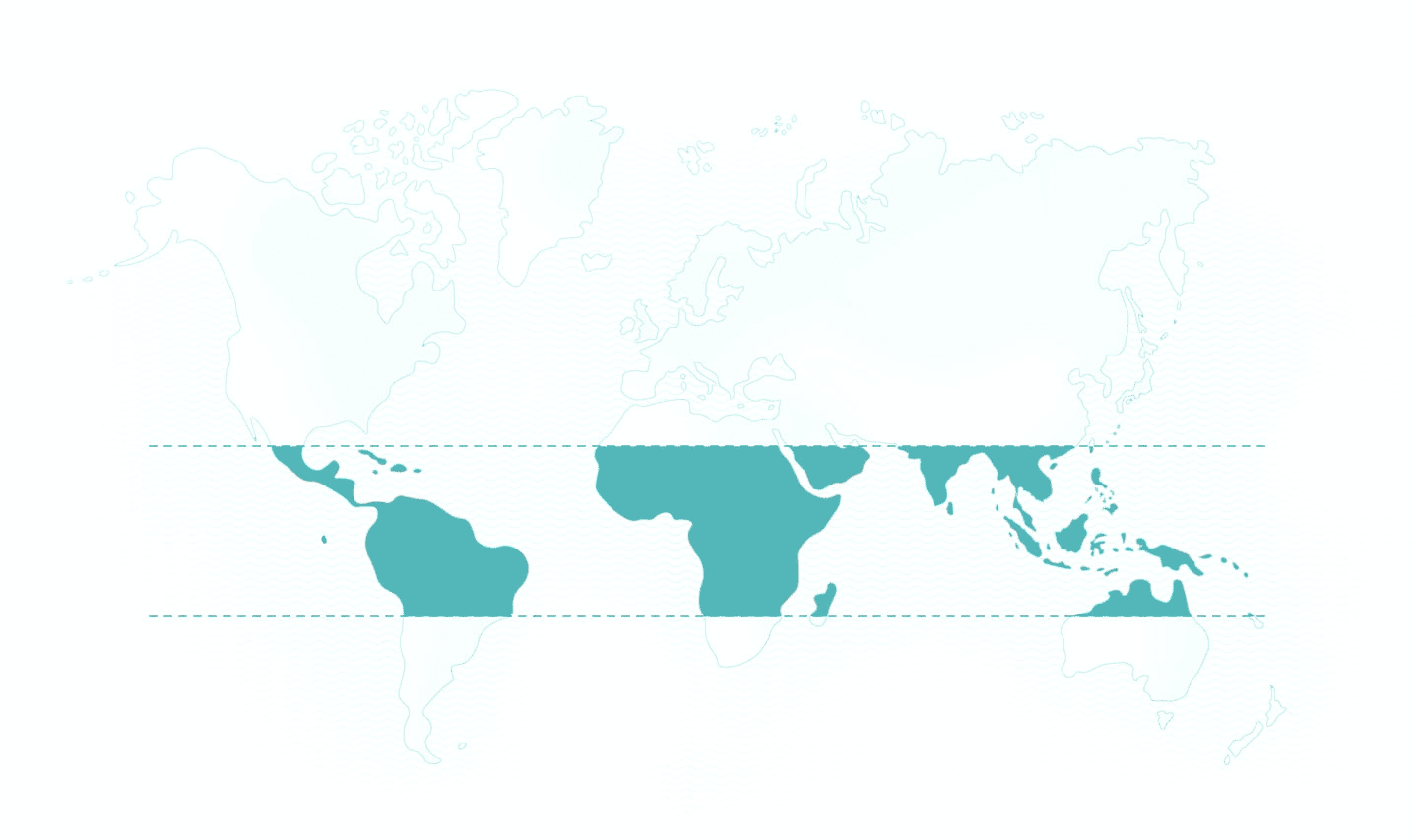 World map World map