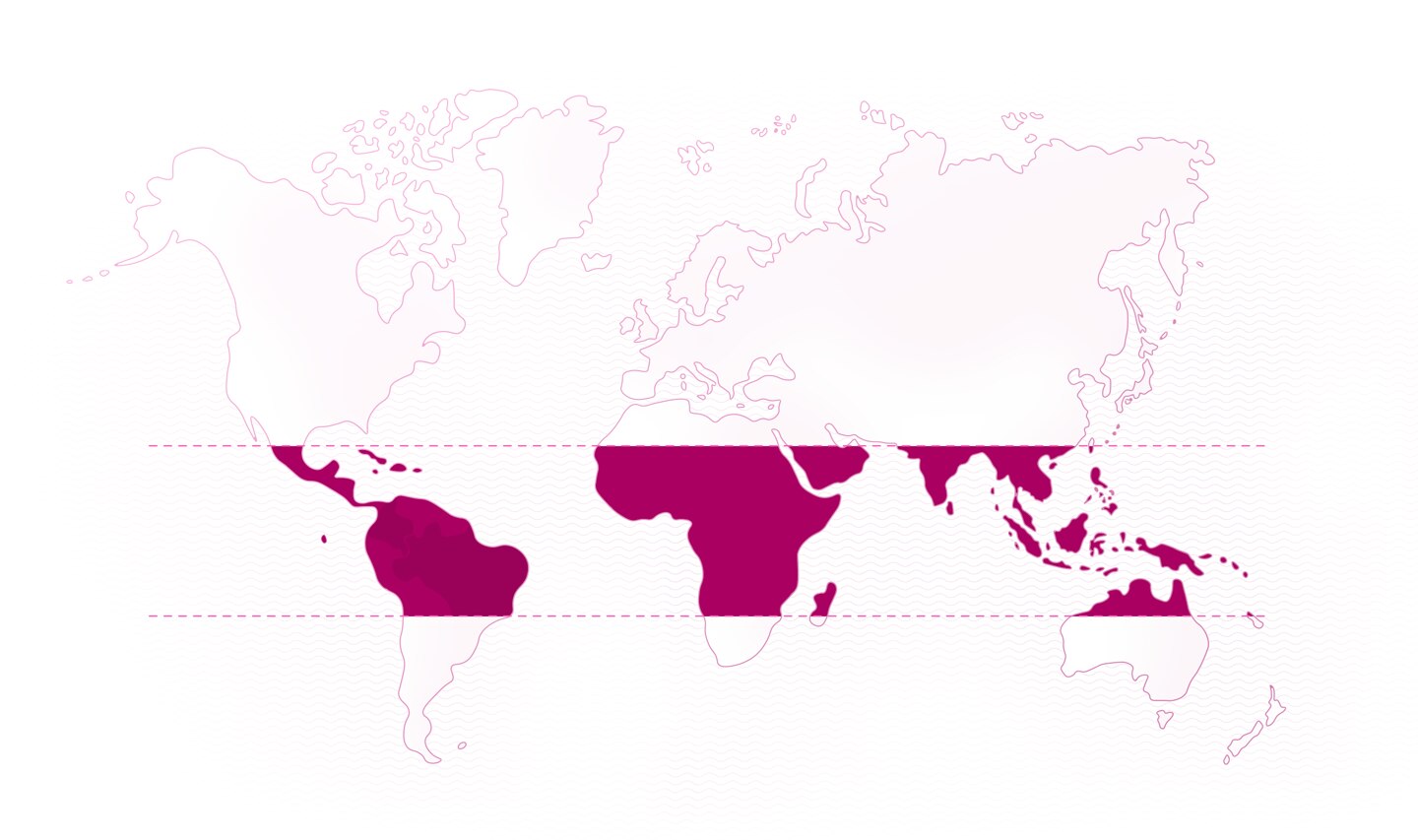 map map
