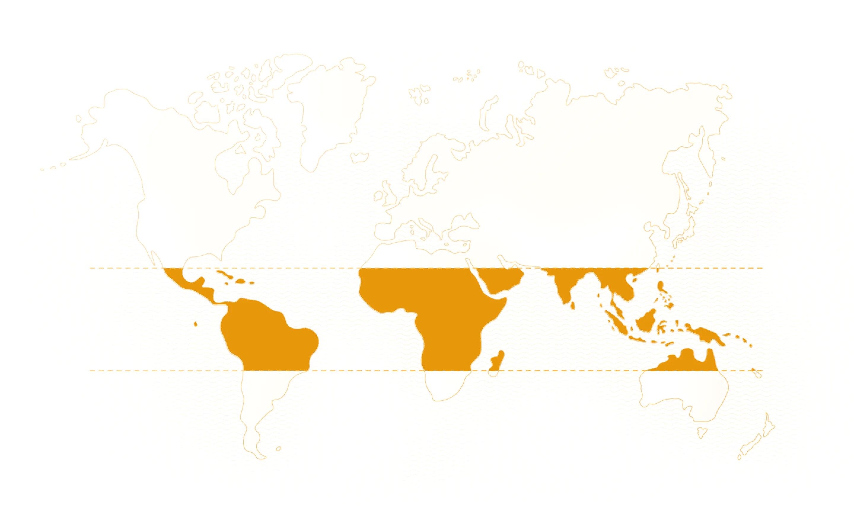 World map World map