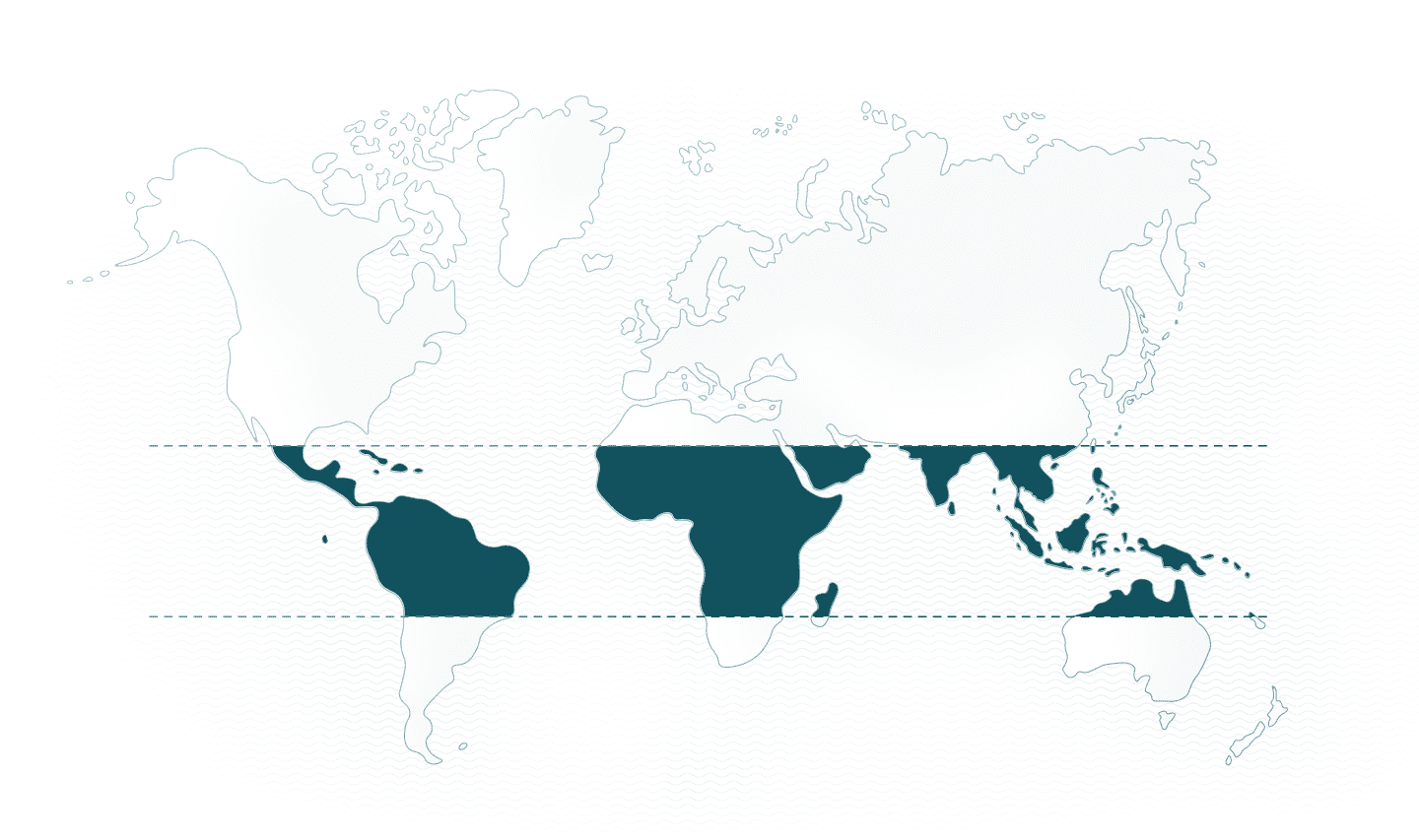 World map World map