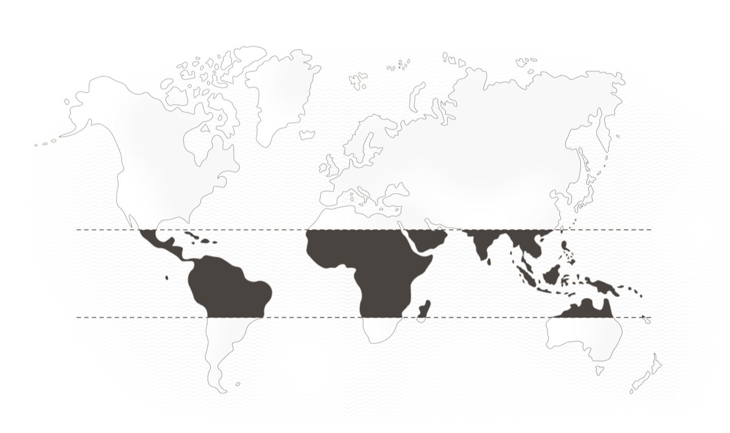 map map