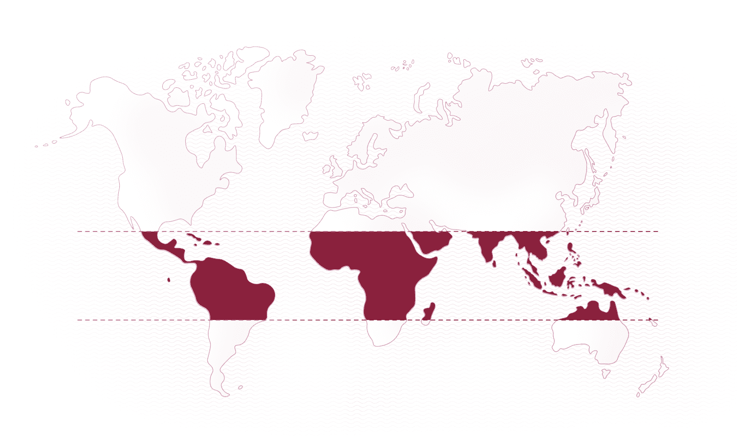World Map World Map