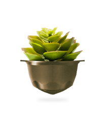 sustainability plant image sustainability plant image