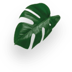 Espresso Milano - 48 kapslí decoration Image